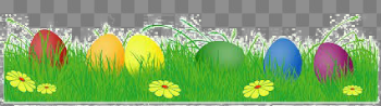 Easter Grass Eggs PNG Pic