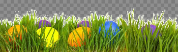 Easter Grass Eggs Transparent Image