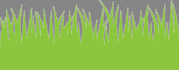 Easter Grass PNG Image