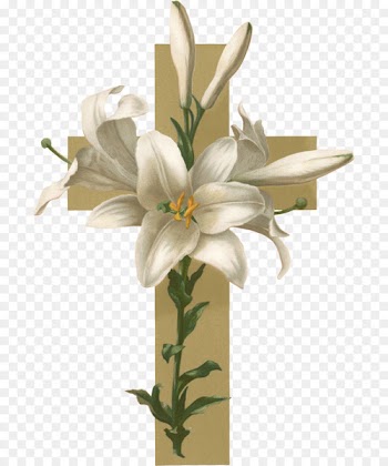 Easter lily Christian cross Flower Funeral Clip art - lily 