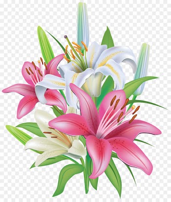 Easter lily Tiger lily Flower Clip art - lily 