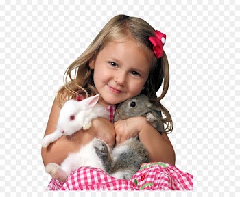 Easter Week Day WhatsApp Message - bom dia 
