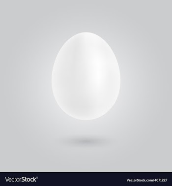 Easter white eeg vector image