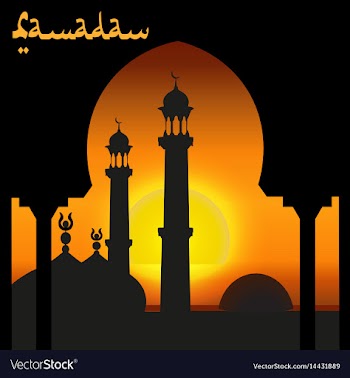 Eastern city minarets on the background of sunset vector image