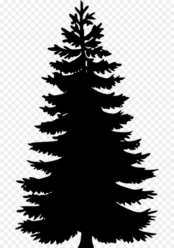 Eastern white pine Tree Clip art - tree 