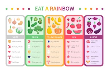 Eat a rainbow infographic Free Vector
