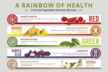 Eat a rainbow infographic with vegetables Free Vector