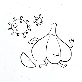 Eating garlic does not prevent coronavirus vector  | Free  vector - 2311988