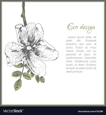  					Eco card template design with dog-rose flower vector image														