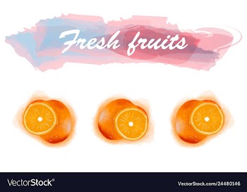 Eco food menu background watercolor hand drawn vector image