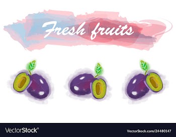 Eco food menu background watercolor hand drawn vector image