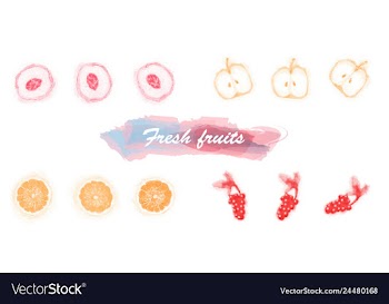 Eco food menu background watercolor hand drawn vector image