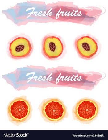 Eco food menu background watercolor hand drawn vector image