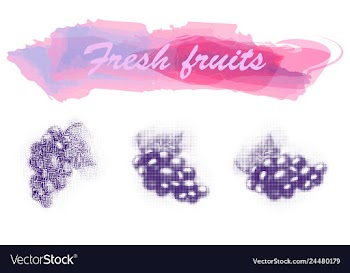 Eco food menu background watercolor hand drawn vector image