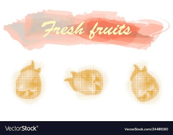 Eco food menu background watercolor hand drawn vector image