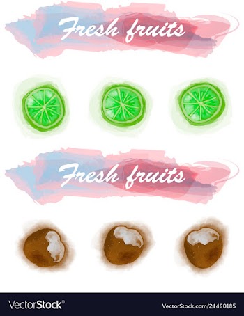 Eco food menu background watercolor hand drawn vector image