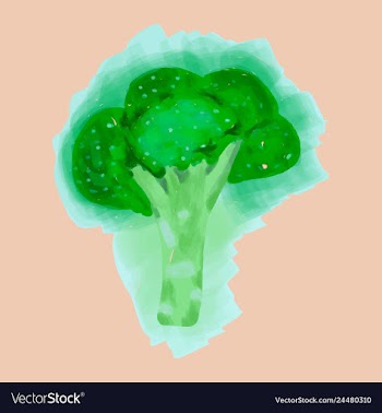 Eco food menu background watercolor hand drawn vector image