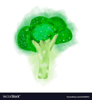 Eco food menu background watercolor hand drawn vector image