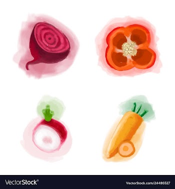 Eco food menu background watercolor hand drawn vector image