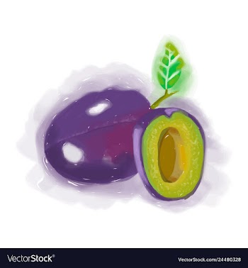 Eco food menu background watercolor hand drawn vector image