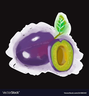 Eco food menu background watercolor hand drawn vector image