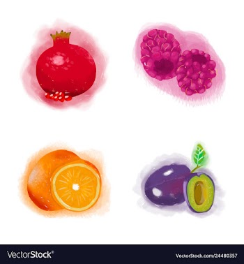 Eco food menu background watercolor hand drawn vector image