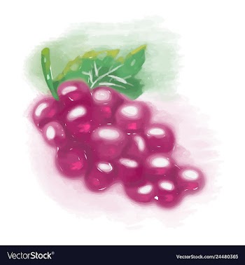 Eco food menu background watercolor hand drawn vector image