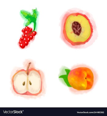 Eco food menu background watercolor hand drawn vector image
