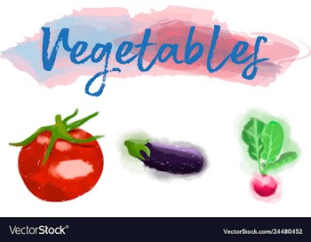 Eco food menu background watercolor hand drawn vector image