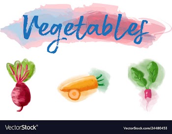 Eco food menu background watercolor hand drawn vector image