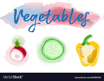 Eco food menu background watercolor hand drawn vector image