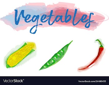 Eco food menu background watercolor hand drawn vector image
