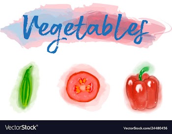 Eco food menu background watercolor hand drawn vector image