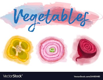 Eco food menu background watercolor hand drawn vector image