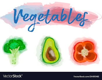 Eco food menu background watercolor hand drawn vector image
