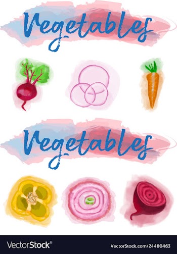 Eco food menu background watercolor hand drawn vector image