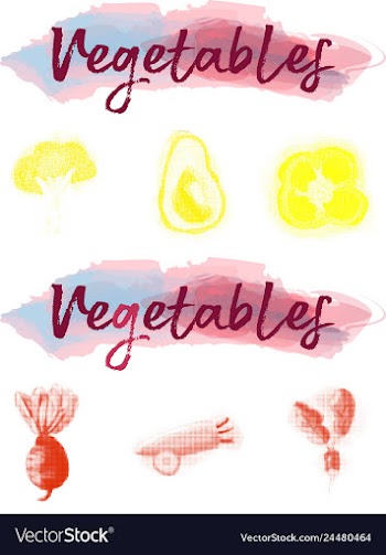 Eco food menu background watercolor hand drawn vector image
