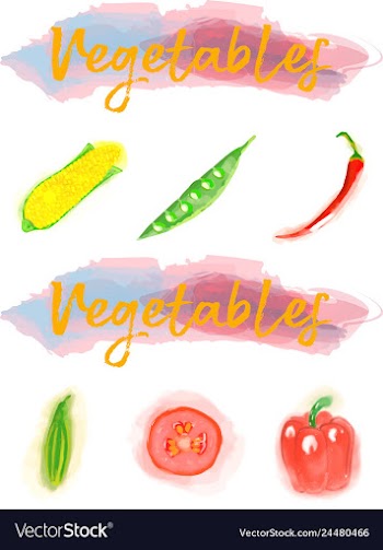 Eco food menu background watercolor hand drawn vector image