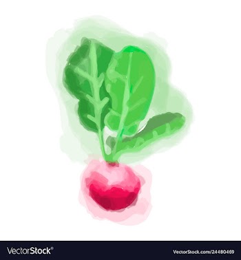 Eco food menu background watercolor hand drawn vector image