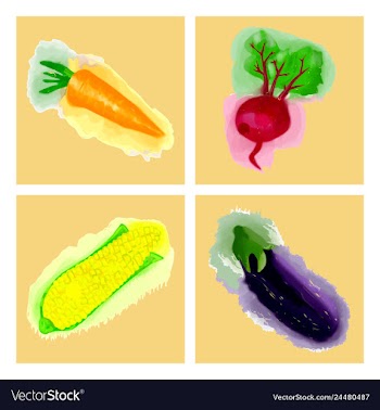Eco food menu background watercolor hand drawn vector image