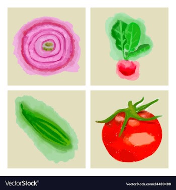 Eco food menu background watercolor hand drawn vector image