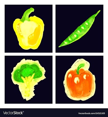 Eco food menu background watercolor hand drawn vector image