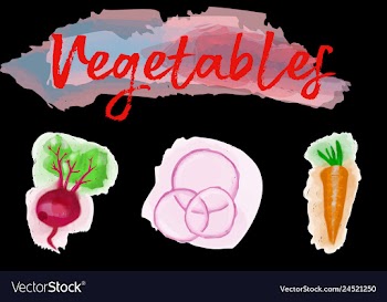 Eco food menu background watercolor hand drawn vector image