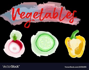 Eco food menu background watercolor hand drawn vector image