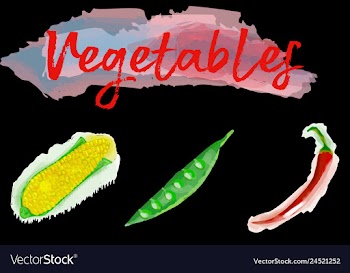 Eco food menu background watercolor hand drawn vector image