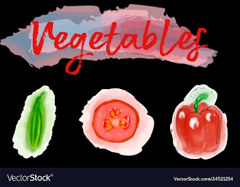 Eco food menu background watercolor hand drawn vector image