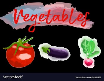 Eco food menu background watercolor hand drawn vector image