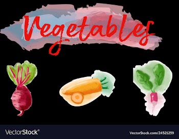 Eco food menu background watercolor hand drawn vector image