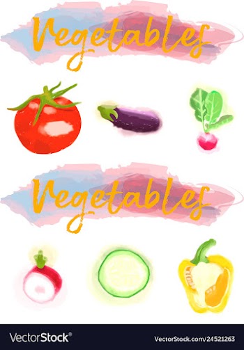 Eco food menu background watercolor hand drawn vector image