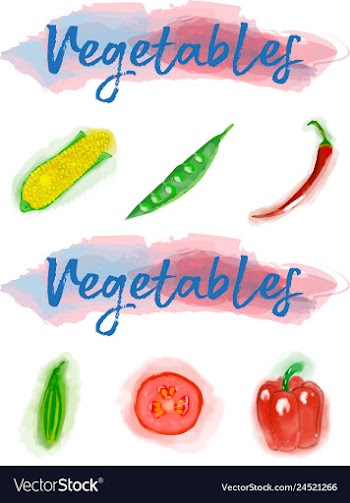 Eco food menu background watercolor hand drawn vector image
